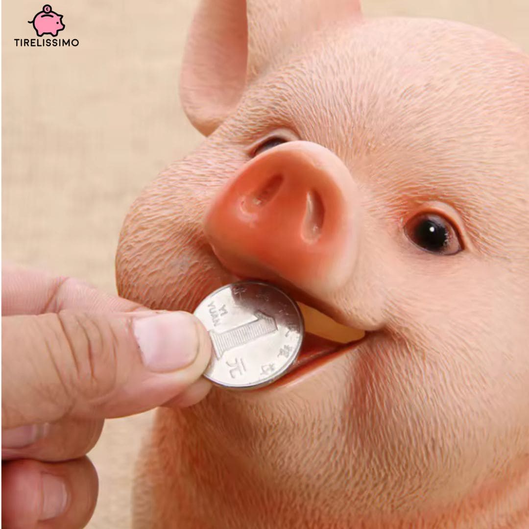 Tirelire En Cochon